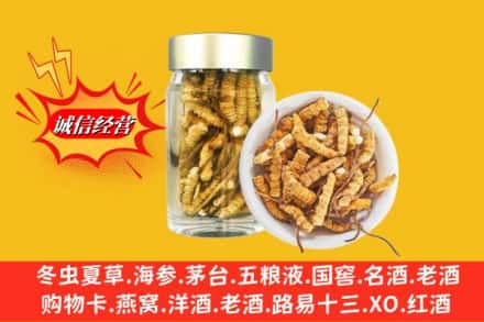 临沂兰山区回收散虫草