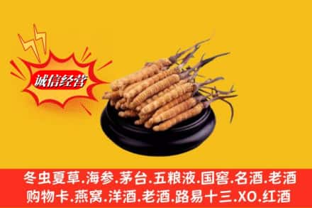 临沂兰山区名酒回收冬虫夏草.jpg